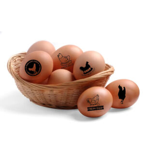 Personalized Egg Stamp