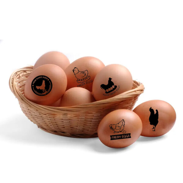 Personalized Egg Stamp